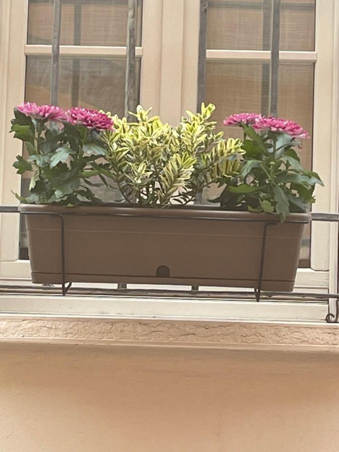 Cuor di Mantova B&B Esterno foto